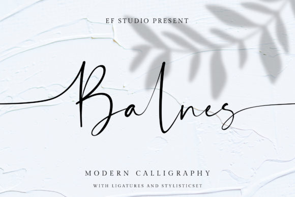 Balnes: A Refined Script Font with Bold Digital Presence