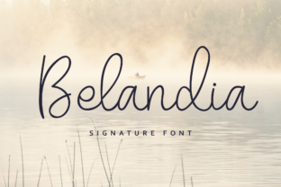 Belandia Handwritten Font for Small Business Branding